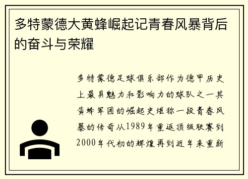 多特蒙德大黄蜂崛起记青春风暴背后的奋斗与荣耀